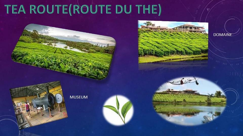 Escale Vacances Flic en Flac Ngoại thất bức ảnh